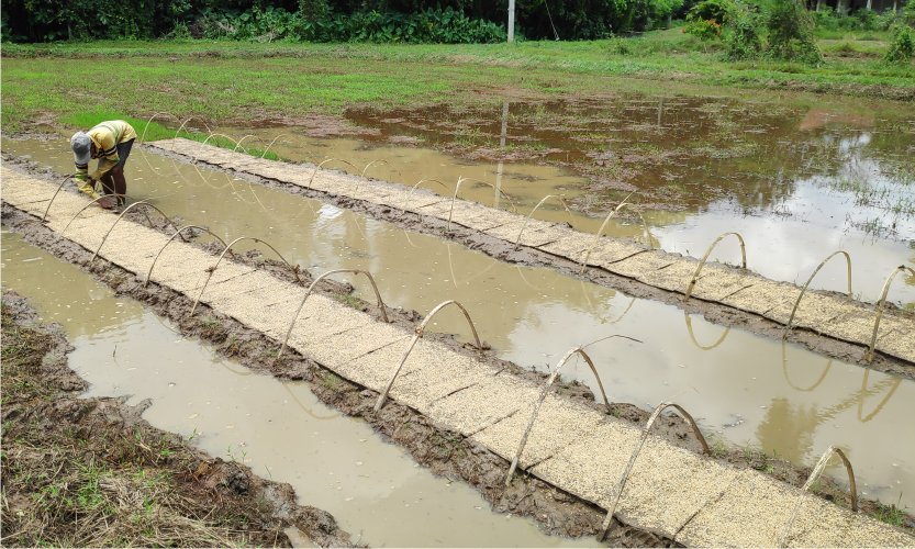 Encouraging Farmers for the Ecological Farming with Combining the Latest Technology. 