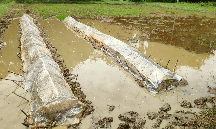 Encouraging Farmers for the Ecological Farming with Combining the Latest Technology. 