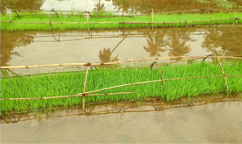 Encouraging Farmers for the Ecological Farming with Combining the Latest Technology. 